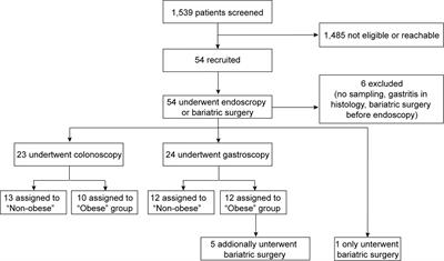 Obesity in Humans Is Characterized by Gut Inflammation as Shown by Pro-Inflammatory Intestinal Macrophage Accumulation